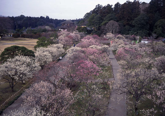 Japan Times